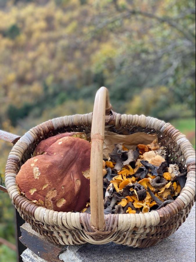 Domaine Le Verdier Saint-Michel-de-Dèze Extérieur photo